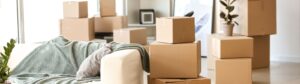 Rapid Removals Fareham blog bg